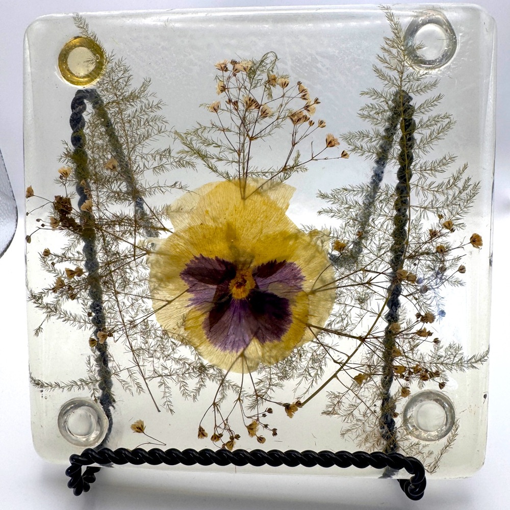 Vintage Acrylic Resin Hotplate Trivet Footed Dried Pansy MCM Lucite